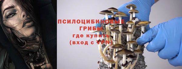 ГАЛЛЮЦИНОГЕННЫЕ ГРИБЫ Алексин