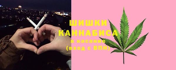 ПСИЛОЦИБИНОВЫЕ ГРИБЫ Алексеевка