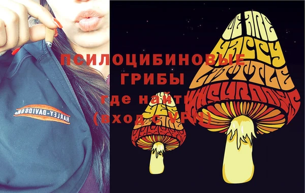 ПСИЛОЦИБИНОВЫЕ ГРИБЫ Алексеевка