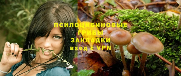 соль курить ск Алзамай