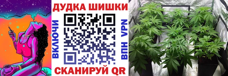 Бошки Шишки планчик  купить  сайты  Севастополь 